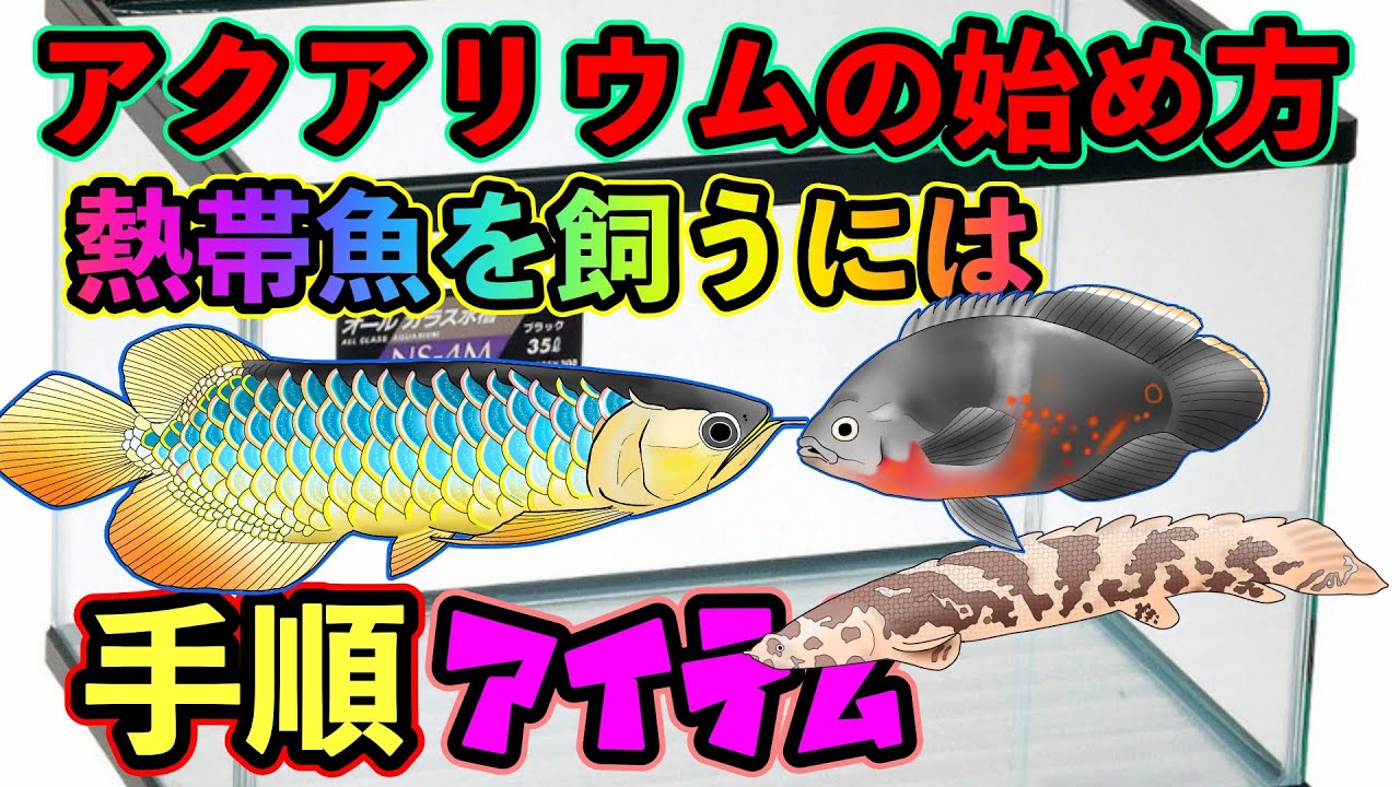 アクアリウムの始め方『水槽立ち上げ』水槽 上部フィルター ろ材