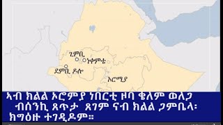 Ethiopia - ESAT Tigrigna News June 25,2020