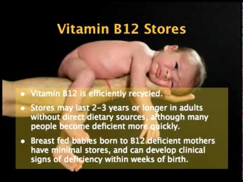 Myth 3: The lack of B12 in plants is proof that we need to eat meat