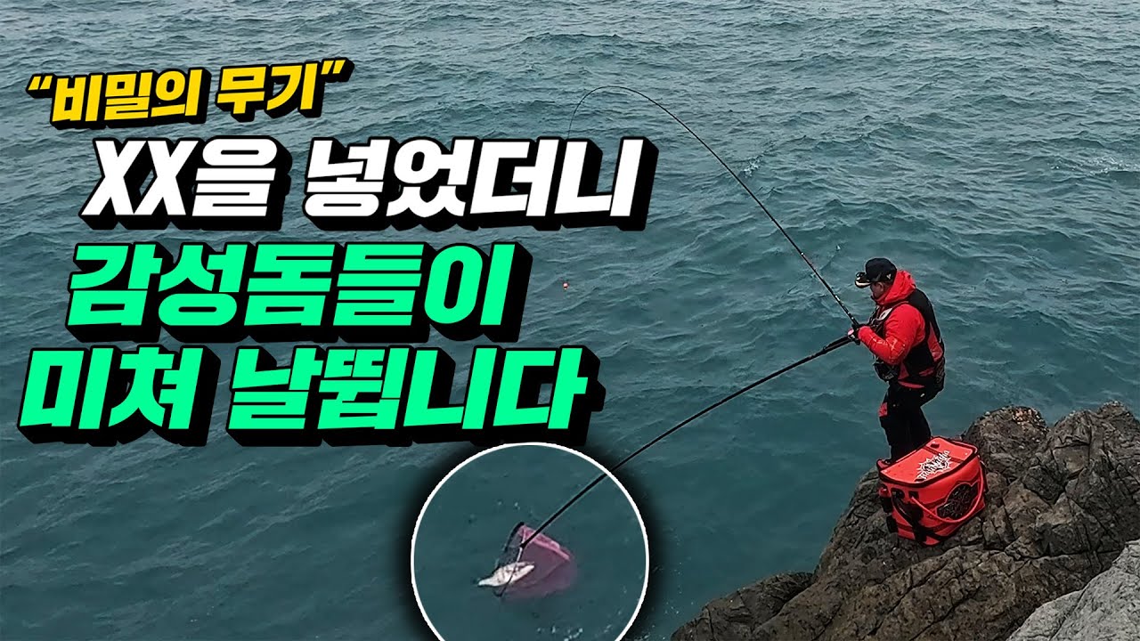 뜰채질하다가 살 빠지고 왔습니다추자도 때 감성돔 낚시