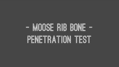 Whole Moose vs. Maasai 125 Broadhead