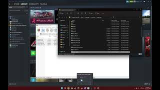 Assetto Corsa I DLC missing bypass