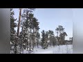 ЗИМНИЙ ЛЕС. СУРГУТ. СИБИРЬ | WINTER FOREST. SURGUT. SIBERIA