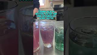 Food science week in class! The full lesson plan is on my website www.littlefrizzle.com