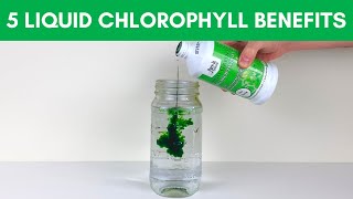 5 Chlorophyll Benefits for Health + Top Liquid Chlorophylls