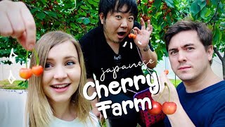 Japan's Famous Yamagata Cherries: All-You-Can-Eat Cherry Farm 😍🍒