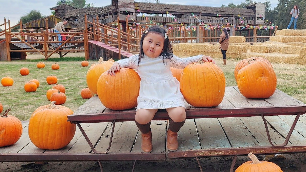 Serenedy visits Fog Willow Pumpkin Patch