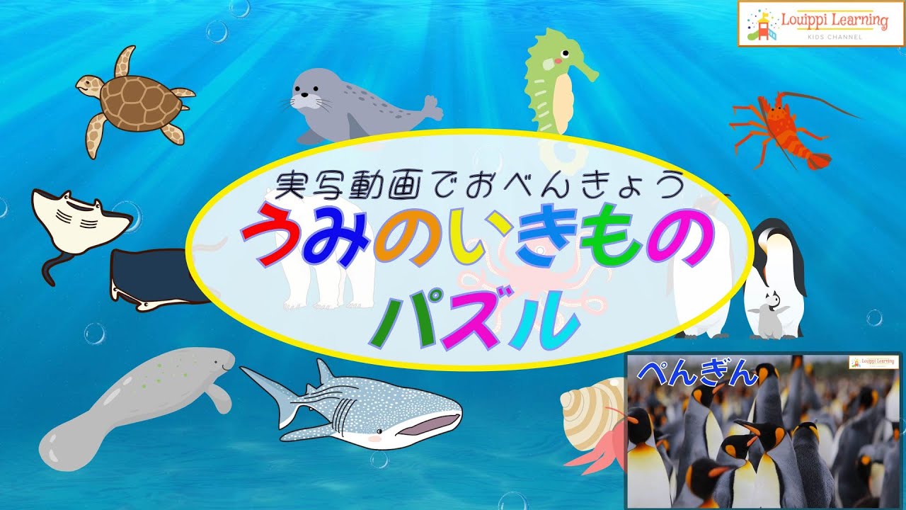 Japanese ] Sea animals Flashcard video for kid Toddler Baby - YouTube