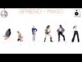 GFriend - MAGO Dance Comparison