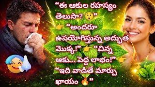 Haritha Manjari Herbal Tips(The Miracle Secret of Kuppintaku) screenshot 5