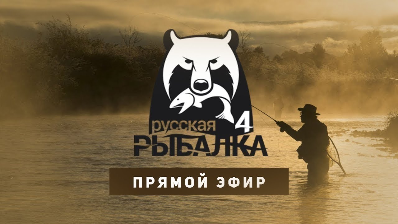 Карта медвежки рр4