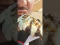 The Kebab Everyone Warned Me About… But I Still Tried It 😳🍢