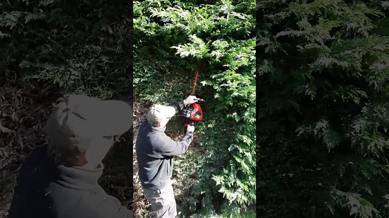 snapper battery hedgecutter