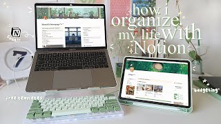 my Notion setup tour | how i organise my life, plan videos, budget as a college student + templates!