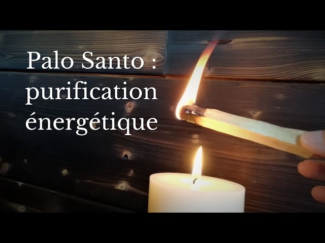 Palo Santo purification énergétique 