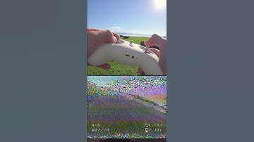 BetaFPV Cetus X - FPV Drone! #shorts