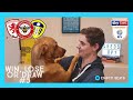 Win, Lose or Draw Ep.3: Will West Brom Bottle It ...