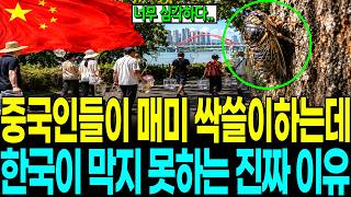 경제만 골라덕 대표 영상 썸네일
