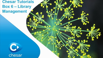 7. Chesar tutorial. Chesar Box 6 – Library management