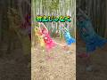 竹林で撮影したよ🎍🎍🎍