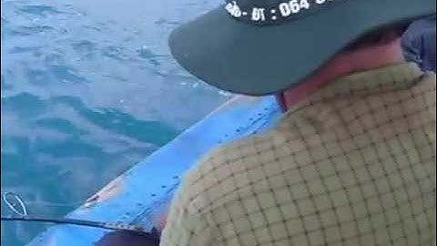 CÁ BÓP CÔN ĐẢO 40KG _ 9/4/2015 _ QUẾ HƯNG