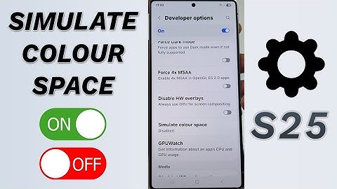🌈 Simulate Colour Space ON/OFF! (Galaxy S25/S25+/Ultra) 🧠
