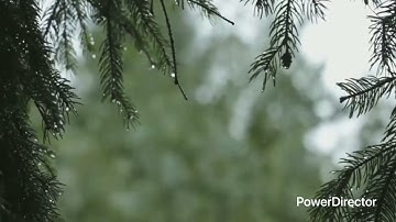 سورة الإنسان بصوت عذب مع خلفية مريحة للأعصاب