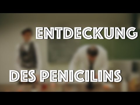 Entdeckung Des Penicillins Entdeckung Des Penicillins