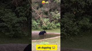 😂🎉ada eanna velluda samy🤣🎊 lion alaparaigal 🤣😝#shorts #comedy #funny #tamil #animals