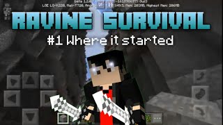 Ravine Survival Let's Play #1 | WHERE IT STARTED screenshot 2
