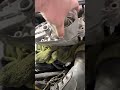 LANDROVER DISCOVERY 4 RANGE ROVER SPORT 306DT 3.0 OIL FILTER HOUSING REMOVAL & REFIT IN UNDER 2 MINS