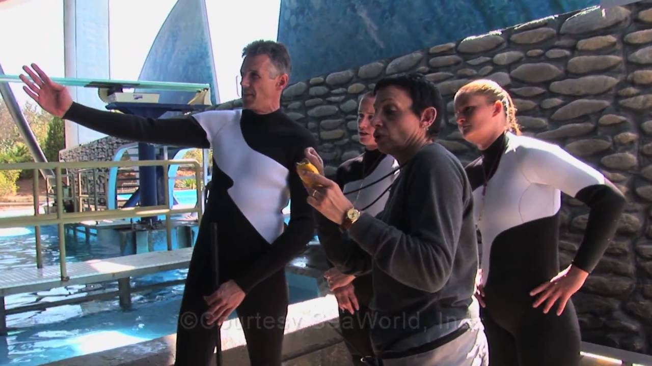 Sea World Believe