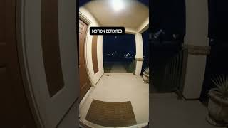 Ring Camera Caught Absolutely NOTHING 😐 #ringcam #nothinghappens #motiondetected #securitycam