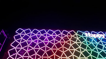 Happy Puppy in Padang city