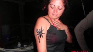 TARANTULA DEL AMAZONAS