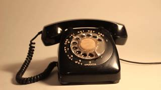 Ring.... Ring.... Ring...