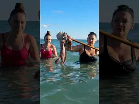 When Two Girls Meet A Giant Octopus Royallqt