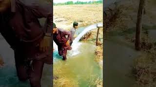 The Fun Of Bathing In A Tube Well In The Village