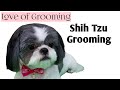 Grooming a Shih Tzu - Basic Clip