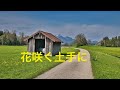 花咲く土手に【玉置浩二】 cover   〜ギター弾き語り(間奏:多重録音)〜