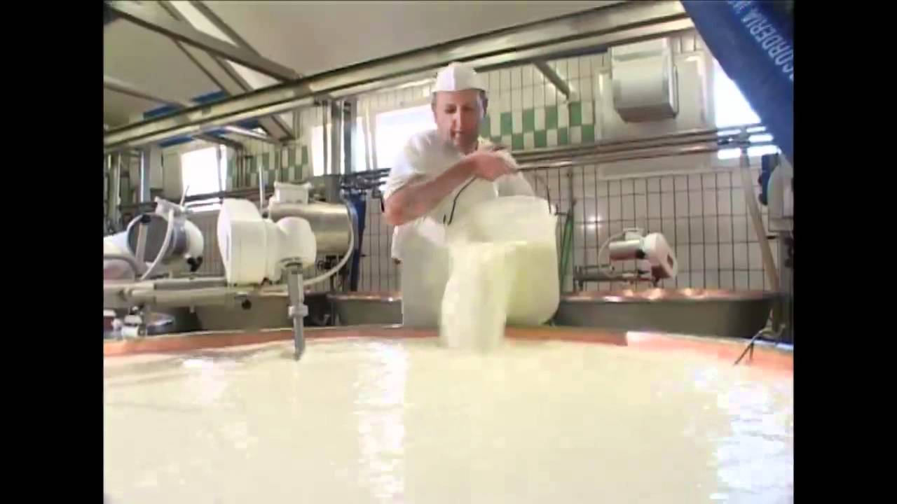 Come si fa il formaggio Asiago? Tutte le risposte in questo video