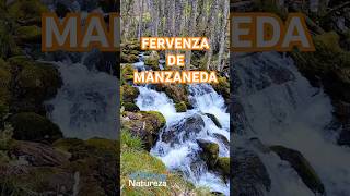 Fervenza de Manzaneda. #apbvigo #galicia