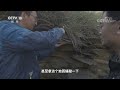 《地理·中国》 20191222 古村谜寨·姜氏庄园 下| CCTV科教