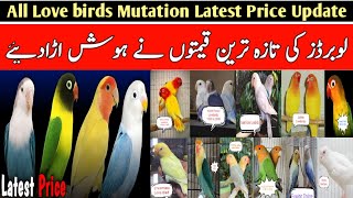 All Love birds Mutation Price Update | Lovebird Latest Price Oct 2025 | لوبرڈ کے ریٹ نے ہوش اڑادئیے