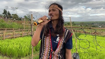 NỖI NHỚ CAO NGUYÊN COVER NGẪU HỨNG | Già Làng Tây Nguyên