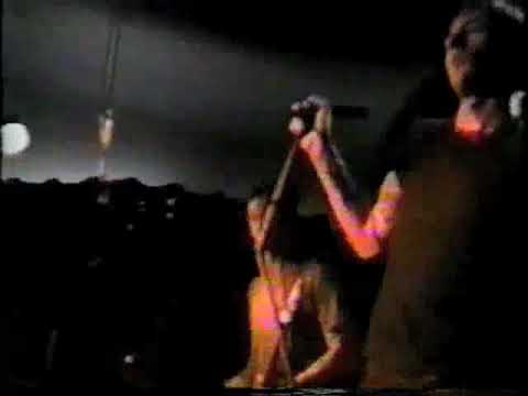 SPONGE : Plowed : 1994 (RARE LIVE)