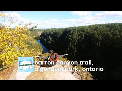 The most beautiful views in Algonquin Provincial Park | Ontario, Canada | Travel Mammal Travel Video