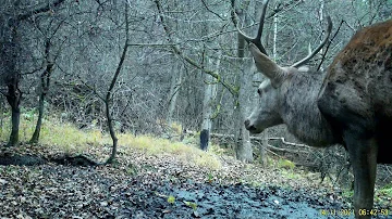 Jaké jsou typy sněhových zábran?