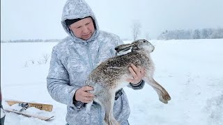 охота на зайца с собаками, всё как есть,мат,ветер,охота.