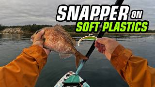 Pinkies Snapper On Soft Plastics Black Rock Fishing
